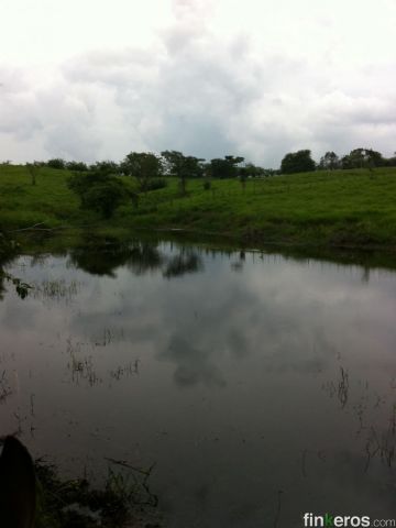 Villanueva - Finca en Villanueva, Bolívar